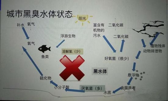 江蘇億元投資治污新技術(shù) 石墨烯能否治理黑臭水體？
