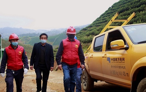 平塘供電局：“加減法”同構(gòu)服務(wù)，護(hù)航“貴州春茶第一壺”