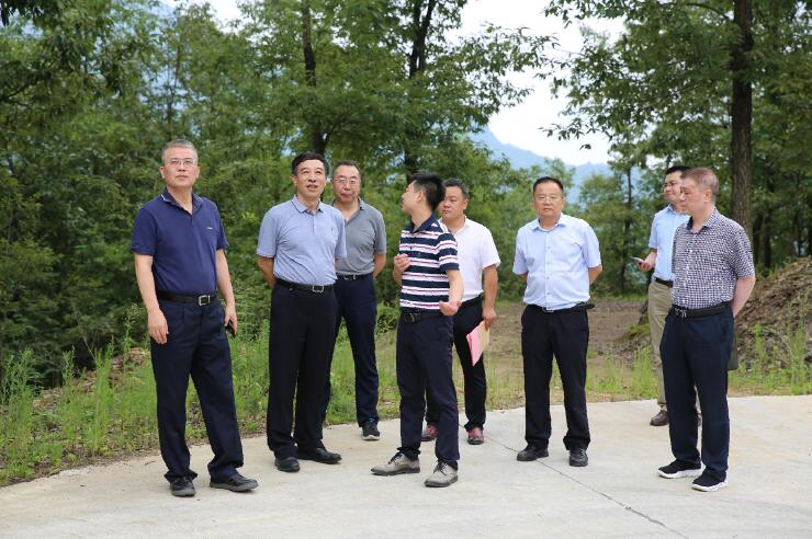 中國能建總經(jīng)理、黨委副書記孫洪水一行赴陜西鎮(zhèn)巴縣調(diào)研定點扶貧工作