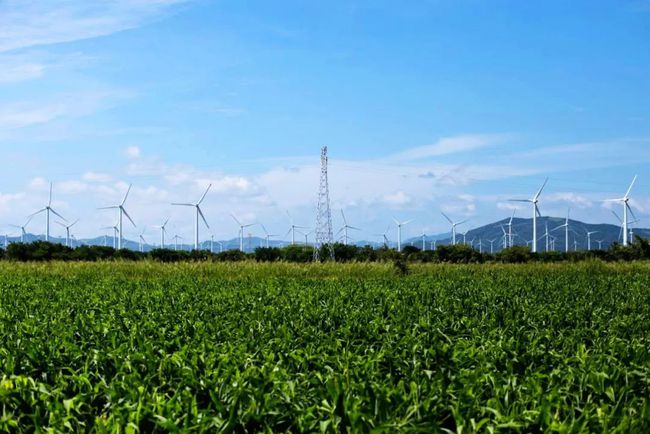 收購墨西哥818MW光伏電站，國家電投境外光伏電站裝機超6GW