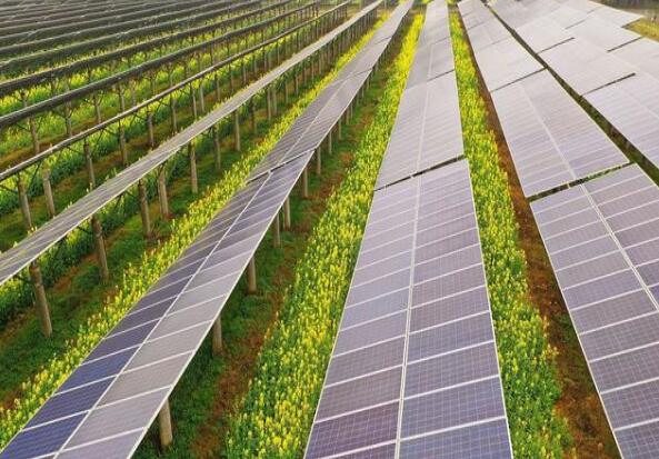 廣東清遠建設(shè)小型農(nóng)光互補光伏發(fā)電站，工程總投資1.5億元