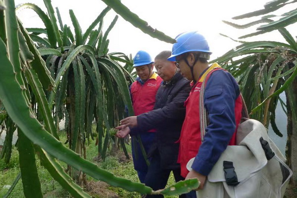 國(guó)網(wǎng)寧海縣供電公司：“電力紅馬甲”護(hù)航，退役軍人鄉(xiāng)村創(chuàng)業(yè)“紅如火”