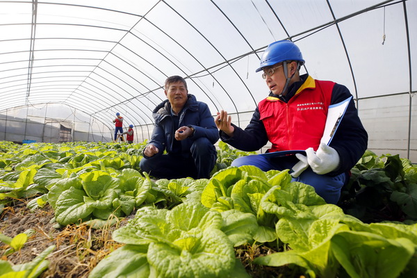 浙江寧波供電公司： 寒冬里，“電管家”守好百姓“菜籃子”