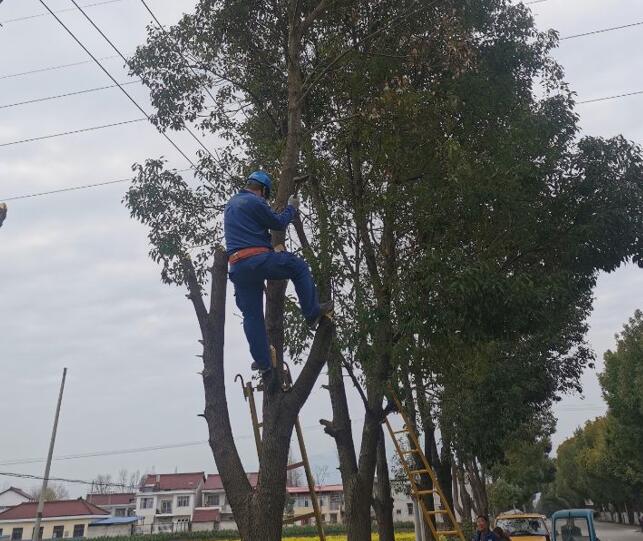 國(guó)網(wǎng)城固縣供電公司積極開(kāi)展春季樹(shù)障清理工作，打通線路安全通道  　　中國(guó)電力網(wǎng)訊  陽(yáng)春三月，草長(zhǎng)鶯飛，又到了樹(shù)竹快速生長(zhǎng)的季節(jié)，茂密的樹(shù)木包裹10千伏及0.4千伏導(dǎo)線，“線樹(shù)”矛盾愈發(fā)嚴(yán)重，此時(shí)也正