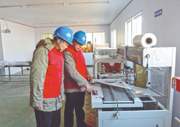 濱?？h供電公司：白首烏產(chǎn)業(yè)發(fā)展充上“滿格電”