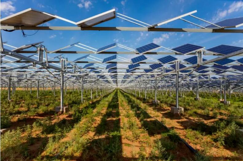 光伏治沙+風光大基地，寧夏“走出”生態(tài)保護和高質(zhì)量發(fā)展新道路