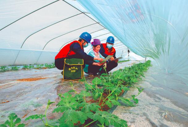 上門(mén)服務(wù)，瓜甜心更甜