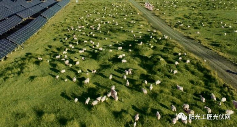 面積接近一個新加坡！青海塔拉灘光伏電站照亮“陽光之路”