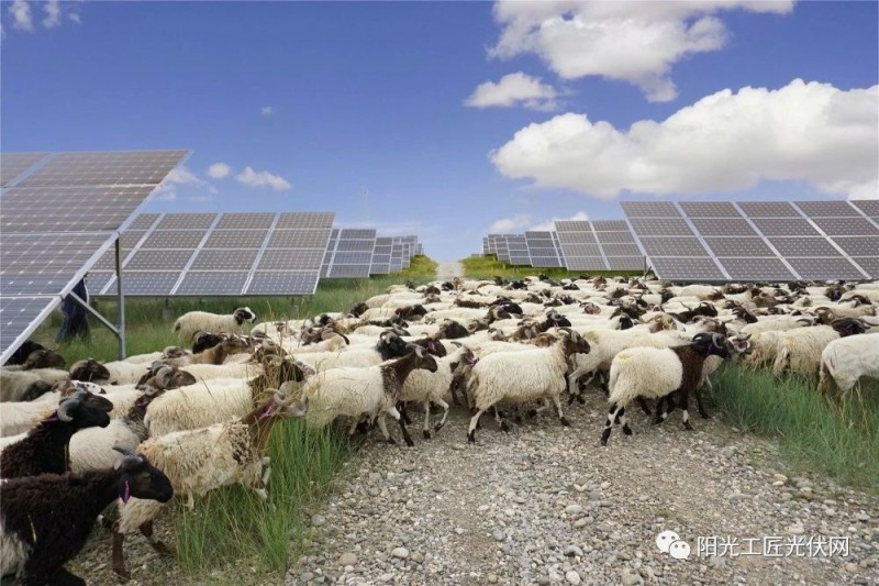 面積接近一個新加坡！青海塔拉灘光伏電站照亮“陽光之路”