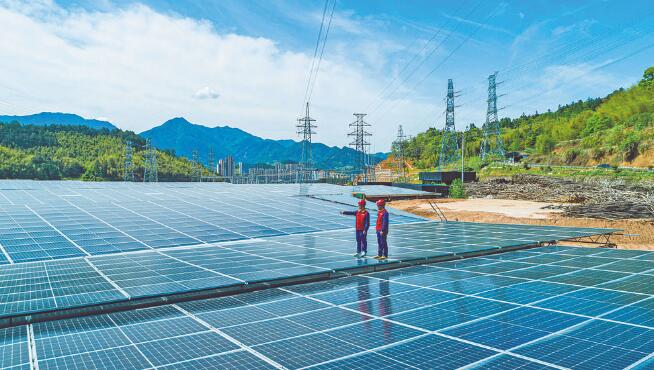 浙江慶元縣：小香菇撐起慶元大產業(yè)