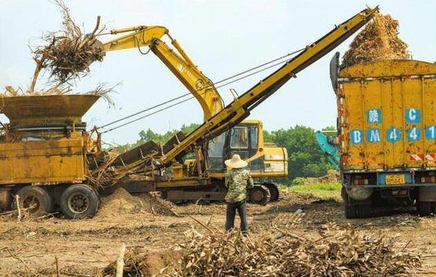 海南省?？诙嗯e措推進(jìn)秸稈等農(nóng)林廢棄物綜合利用