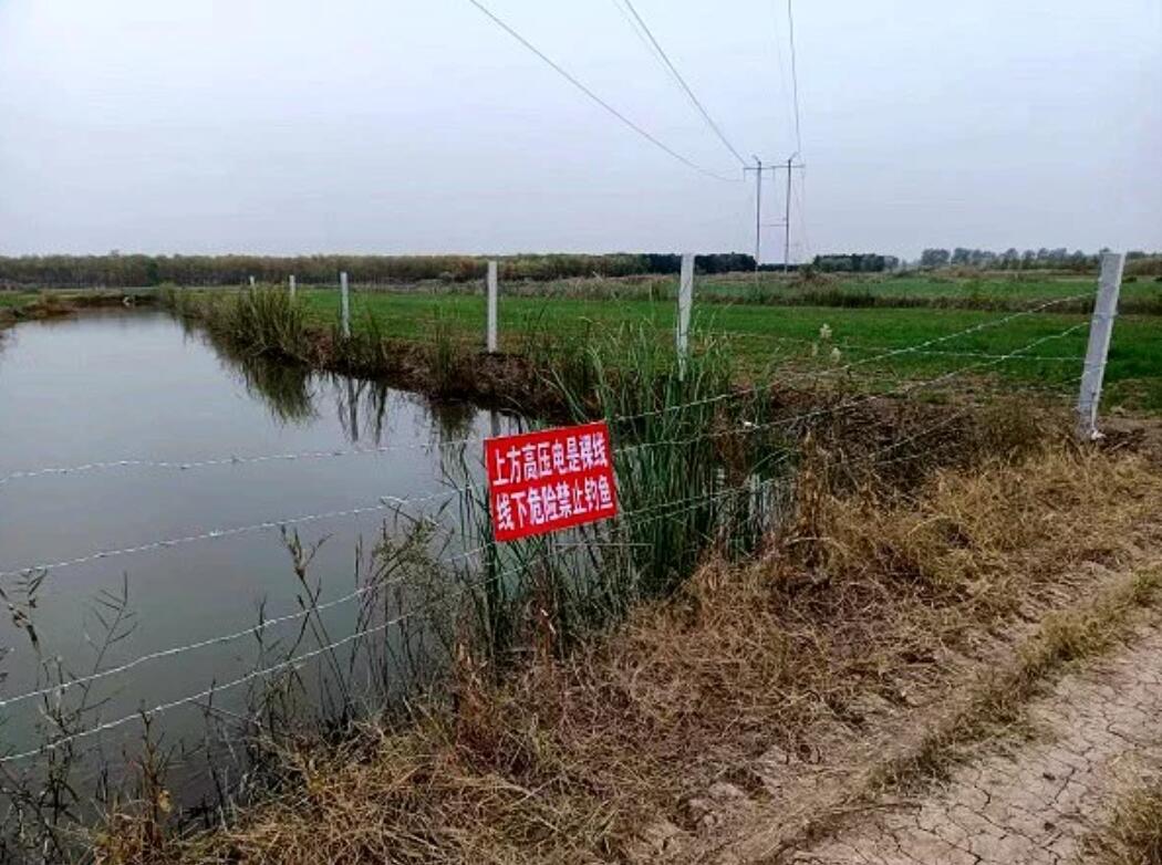 國網(wǎng)濟寧供電公司治理垂釣隱患，保電網(wǎng)安全運行