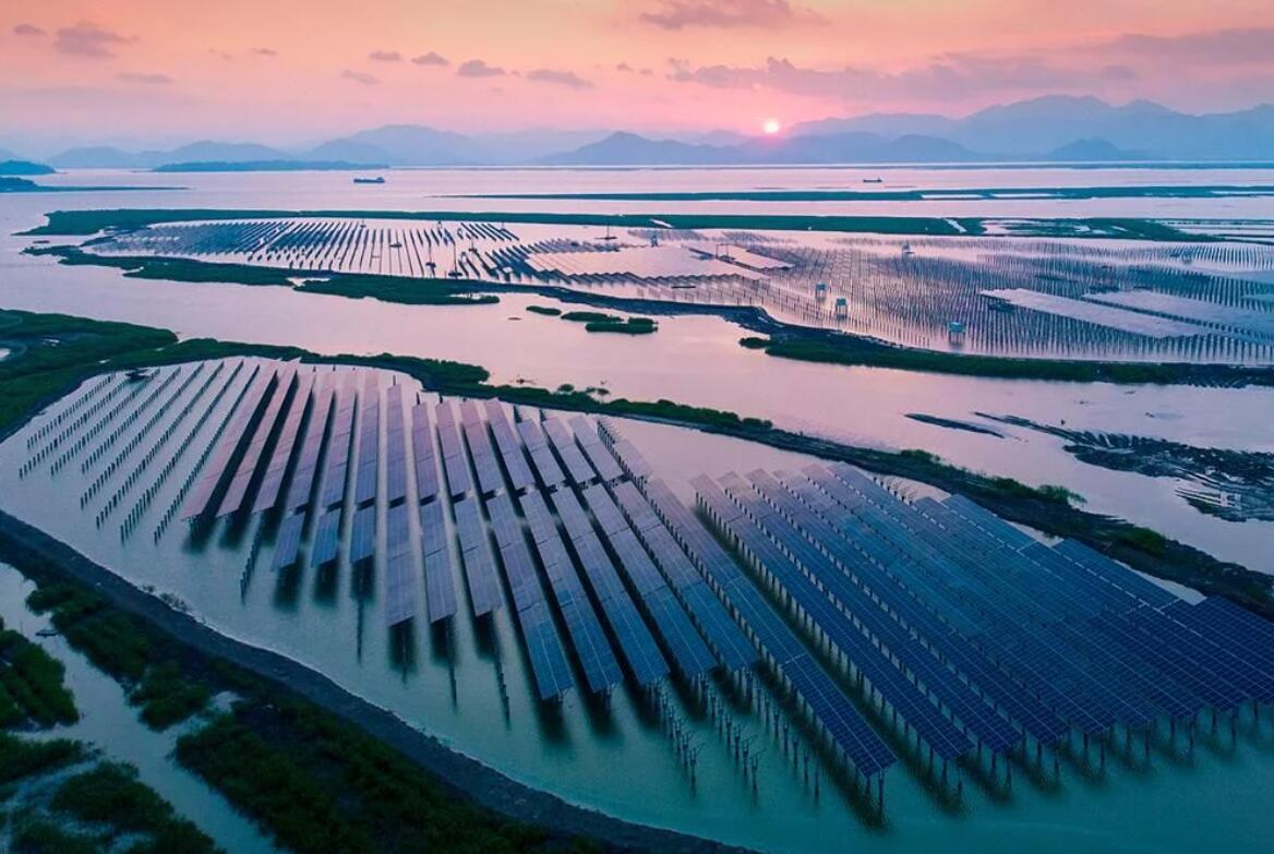 臺州首個工商業(yè)企業(yè)光儲一體數字化能源項目落地玉環(huán)