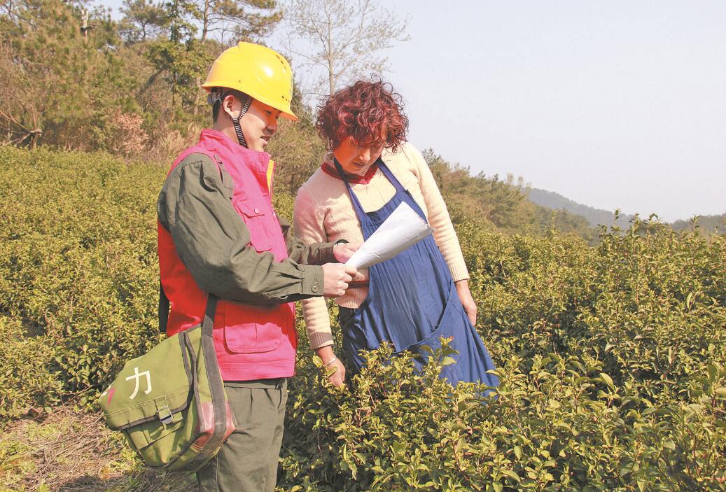 江西省永修縣：供電給力 柑橘飄香