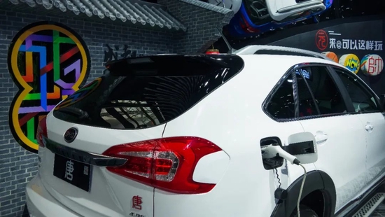 去年大賺166億，比亞迪強(qiáng)勢領(lǐng)跑， 新能源車企分化加劇