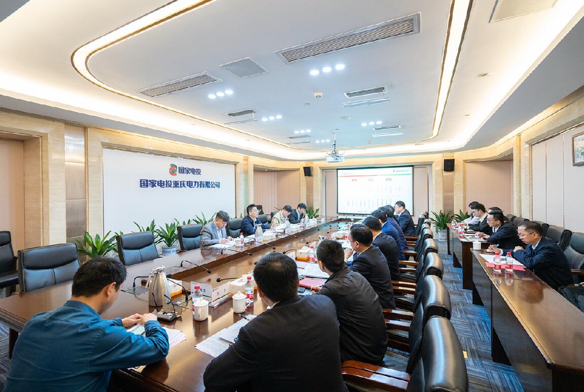 徐樹彪到重慶公司、遠(yuǎn)達(dá)環(huán)保調(diào)研