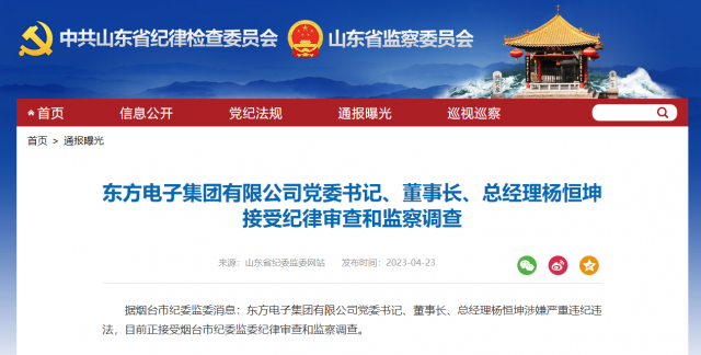 東方電子集團(tuán)有限公司黨委書記、董事長(zhǎng)、總經(jīng)理?xiàng)詈憷け徊椋? width=