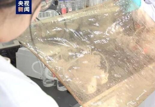 國產新型離子膜問世，有望在新能源的儲能領域廣泛應用