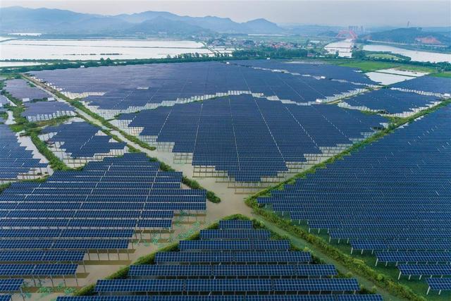 水上發(fā)電，水下養(yǎng)魚!黃石“漁光互補”綠色興農(nóng)