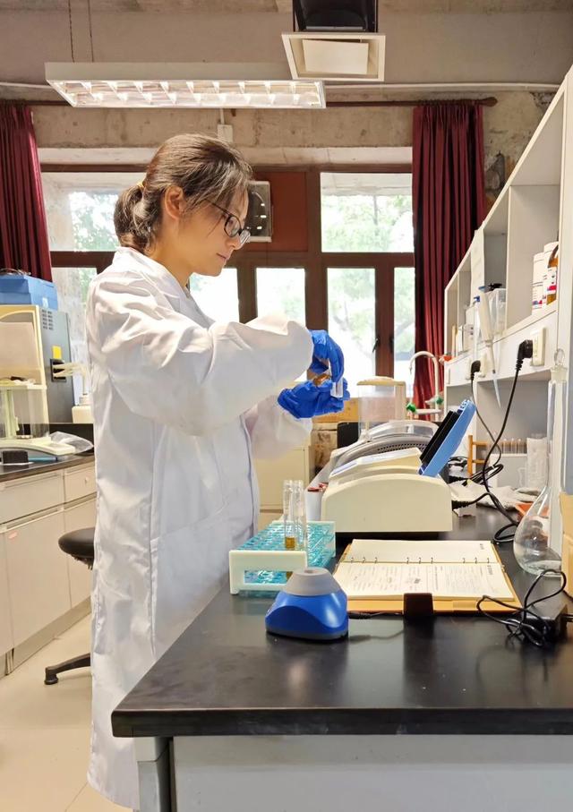 寶山這位博士后探索“氫轉(zhuǎn)甲烷”科創(chuàng)路徑，推動清潔能源制氫