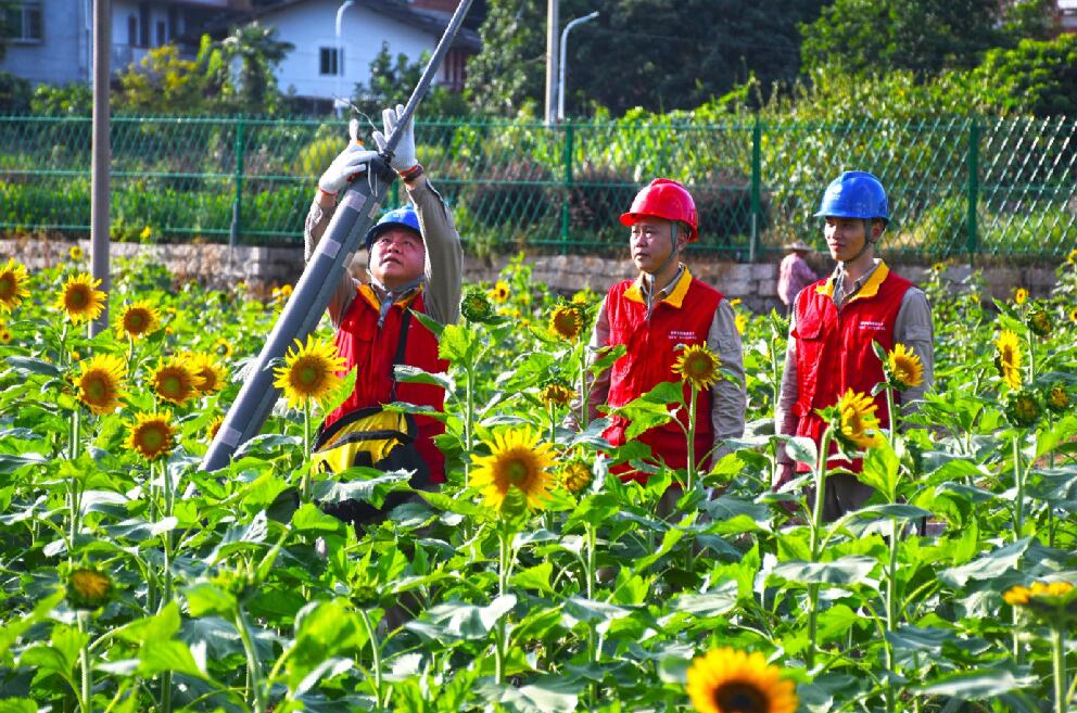 國網永泰縣供電公司“村網共建”譜寫鄉(xiāng)村振興協奏曲