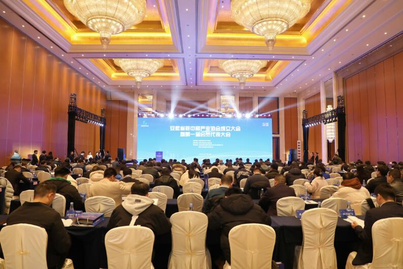 安徽省碳中和產業(yè)協會成立