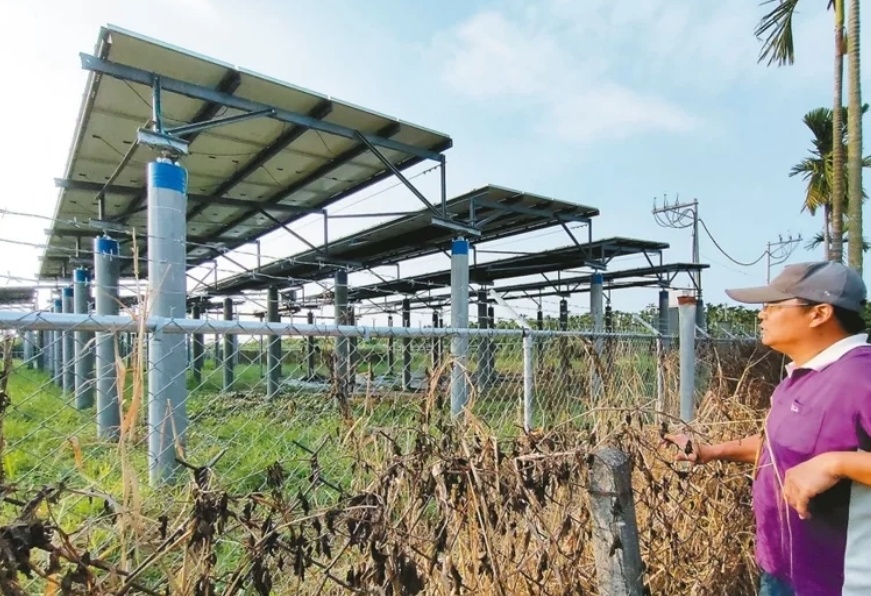 臺媒：農(nóng)田“種電”讓農(nóng)民苦不堪言，島內面臨農(nóng)電兩失困境