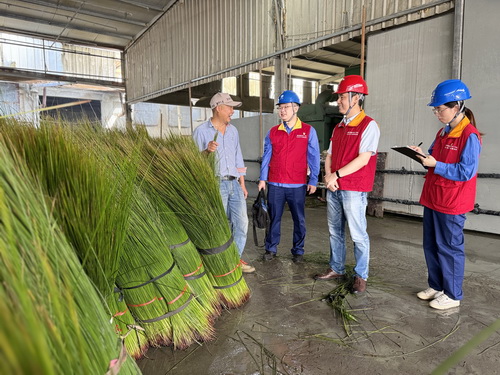 國網(wǎng)寧波供電公司海曙供電分公司：守護(hù)綠色“草”經(jīng)濟 電力服務(wù)跑出鄉(xiāng)村振興加速度