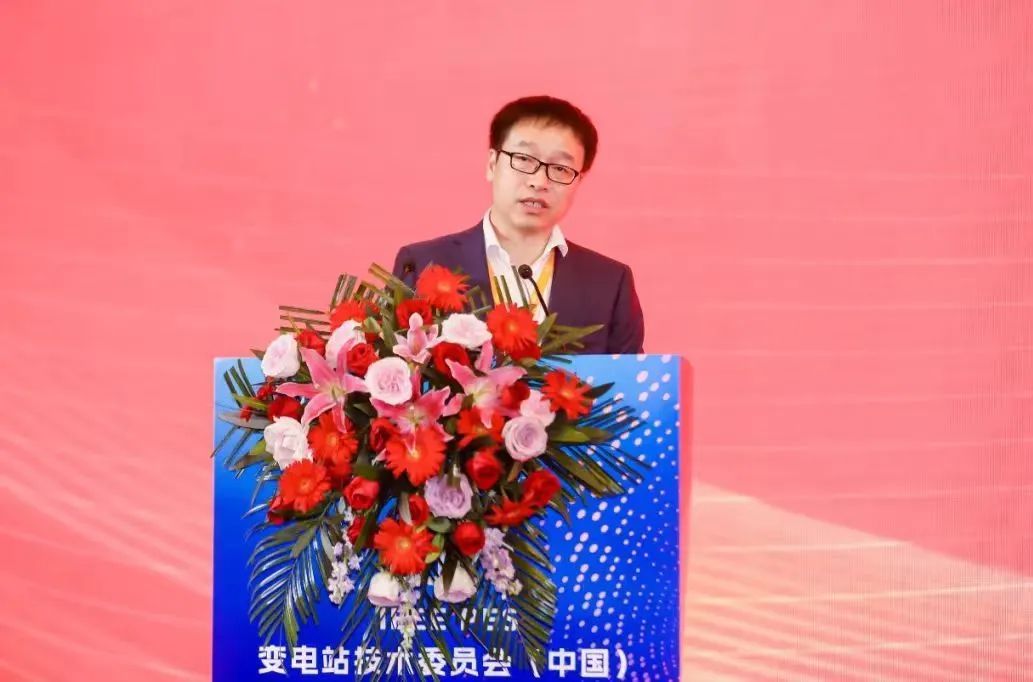 中國電氣裝備代表當(dāng)選國際電工委員會(huì)(IEC )TC