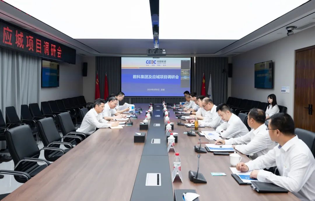 中國能建黨委副書記、總經(jīng)理倪真調(diào)研湖北應(yīng)城300兆瓦壓氣儲能項目