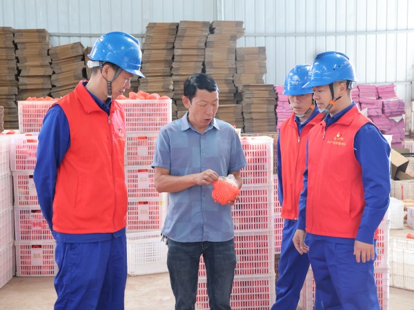 國網(wǎng)會理市供電公司:電力先行 守護石榴豐收