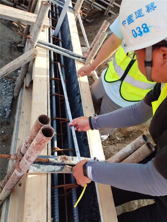 黨員先鋒展風(fēng)采，鑄就工程新樣板