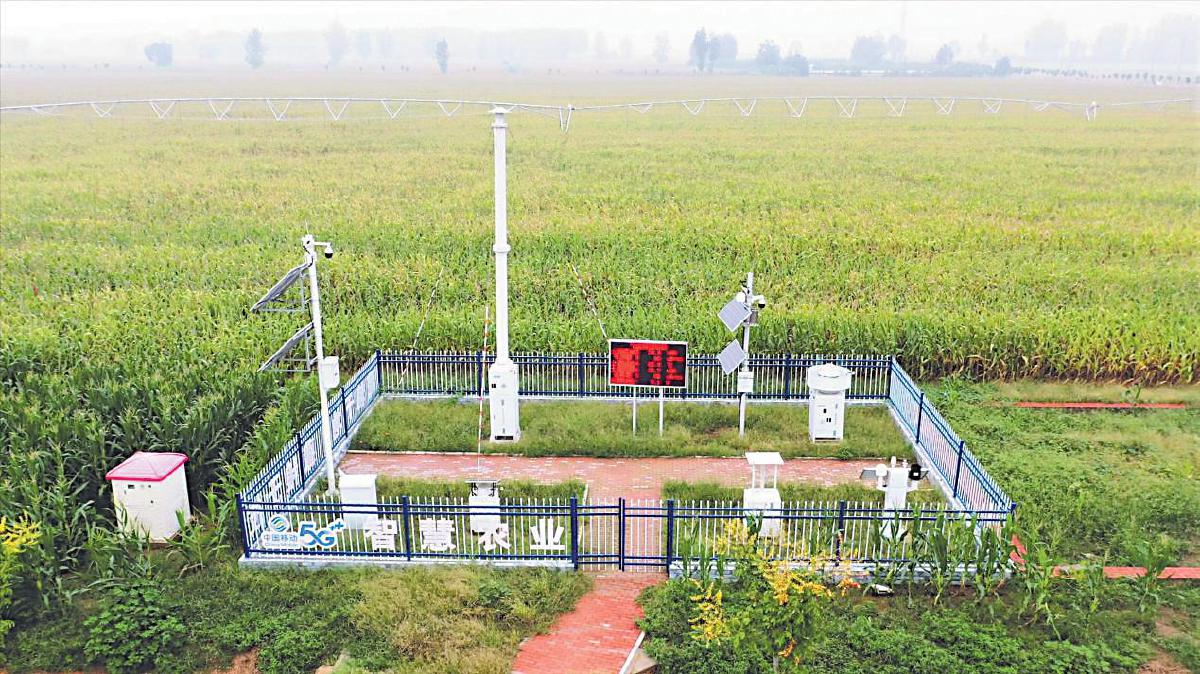 中國移動(dòng)科技繪“豐”景 金秋糧滿倉