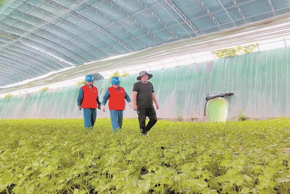 寧夏賀蘭縣：賀蘭山下，稻香魚肥