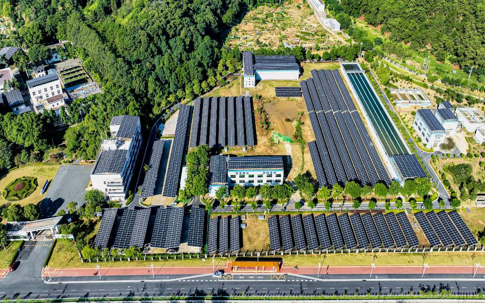 追“新”逐“綠” 粵?？毓杉瘓F走實走好綠色低碳轉型高質量發(fā)展道路