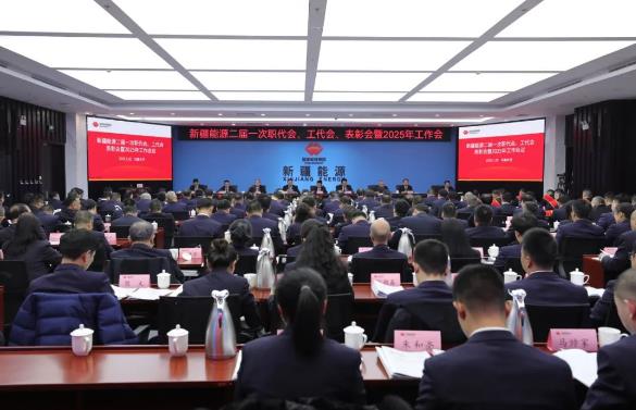 國能新疆能源召開二屆一次職代會、工代會、表彰會暨2025年工作會