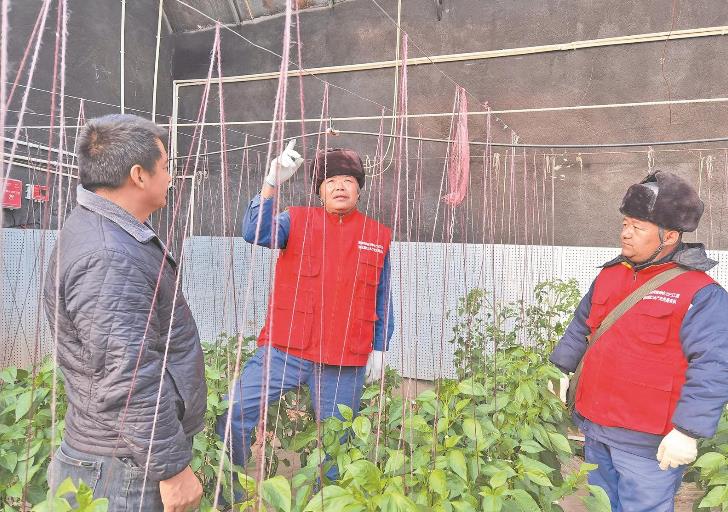 青海循化撒拉族自治縣大棚變智能，果蔬產(chǎn)量增