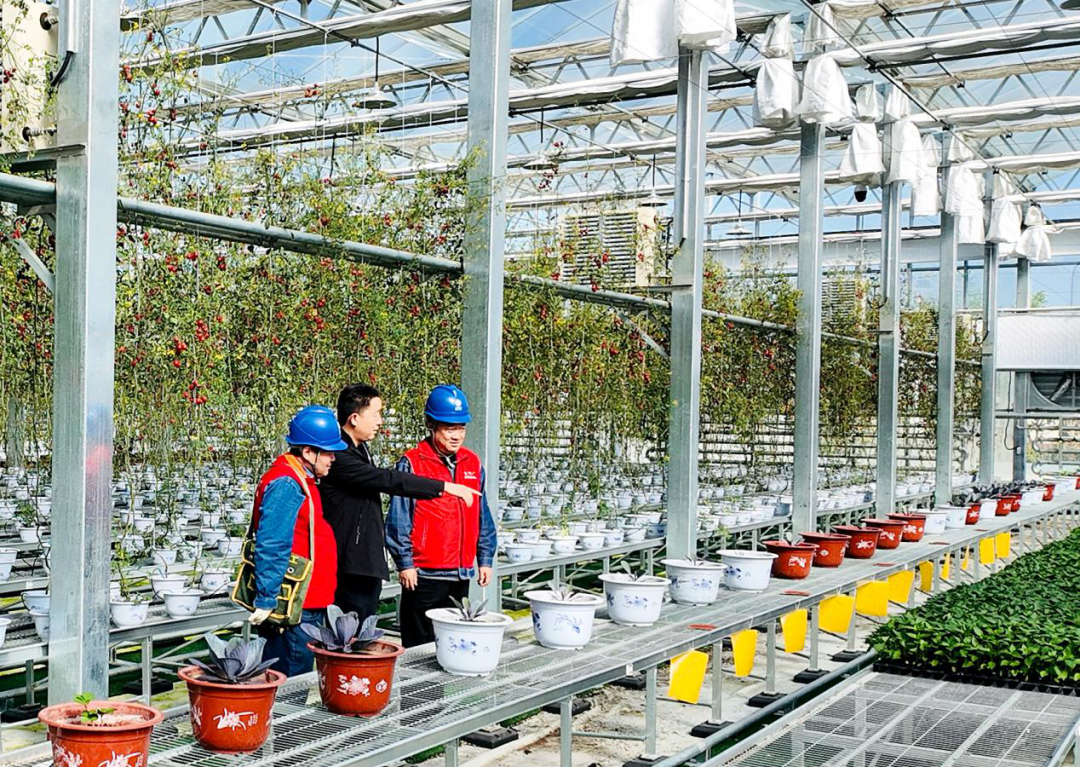 國(guó)網(wǎng)臨夏供電公司春耕春灌電滿格 鄉(xiāng)村振興動(dòng)力足