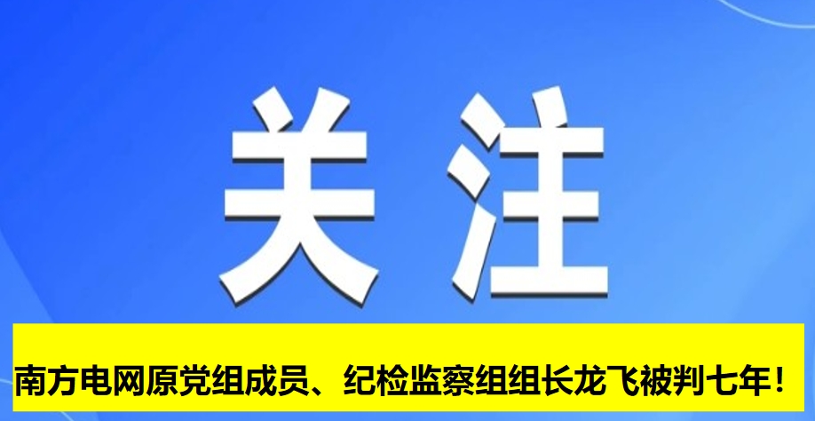 南方電網(wǎng)原黨組成員、紀(jì)檢監(jiān)察組組長(zhǎng)龍飛被判