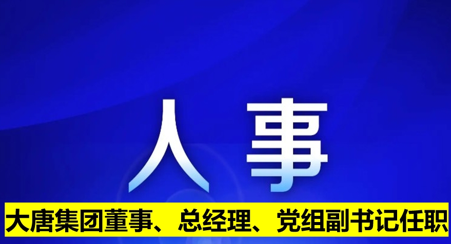 大唐集團董事、總經(jīng)理、黨組副書記任職