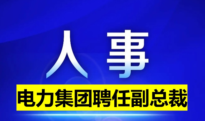 電力集團聘任副總裁